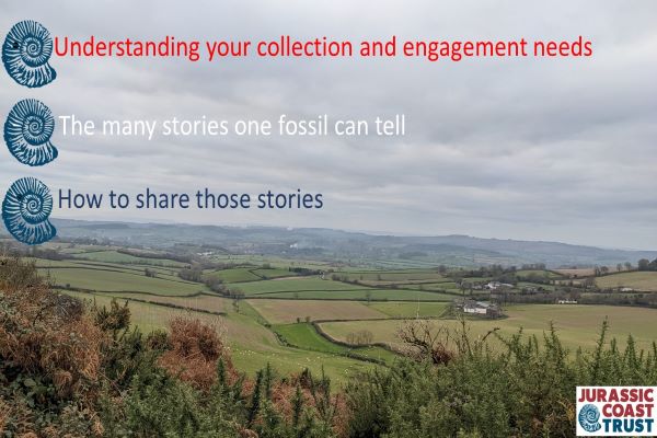 A presentation slide with a background of a countryside landscape and 3 titles 'understanding your collection', 'the many stories one fossil can tell' and 'how to share those stories'. The bullet points for each line of text is in the shape of an ammonite. 